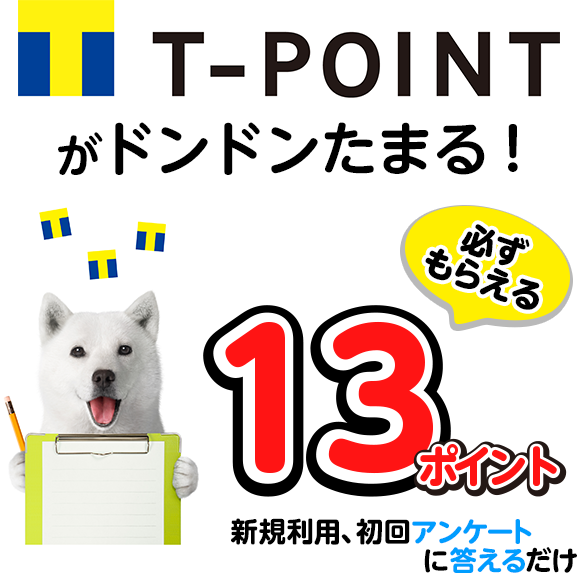 T-POINTがドンドンたまる！